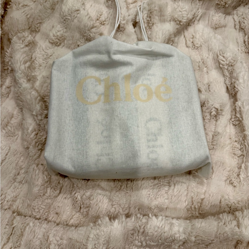 Chloé Beige Canvas Mini Woody Tote with Blue Trim and Logo Straps - Picture 4 of 10